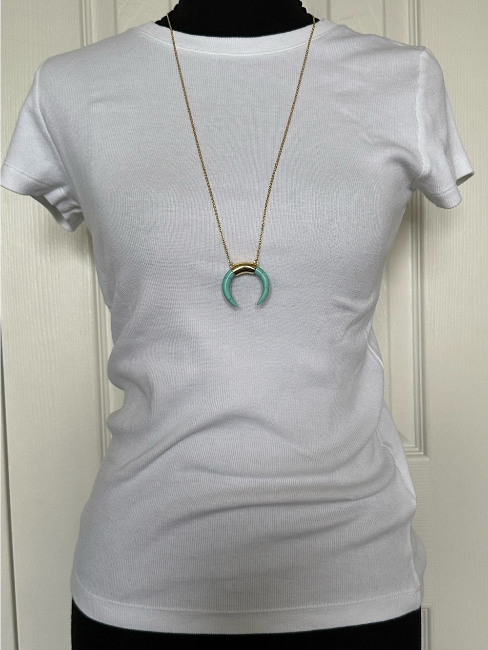 NWT Gorjana Gold Chain Turquoise Horn Crescent Pendant Necklace